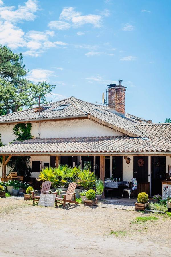 La Ferme Du Miouat Saint-Julien-en-Born Exterior foto