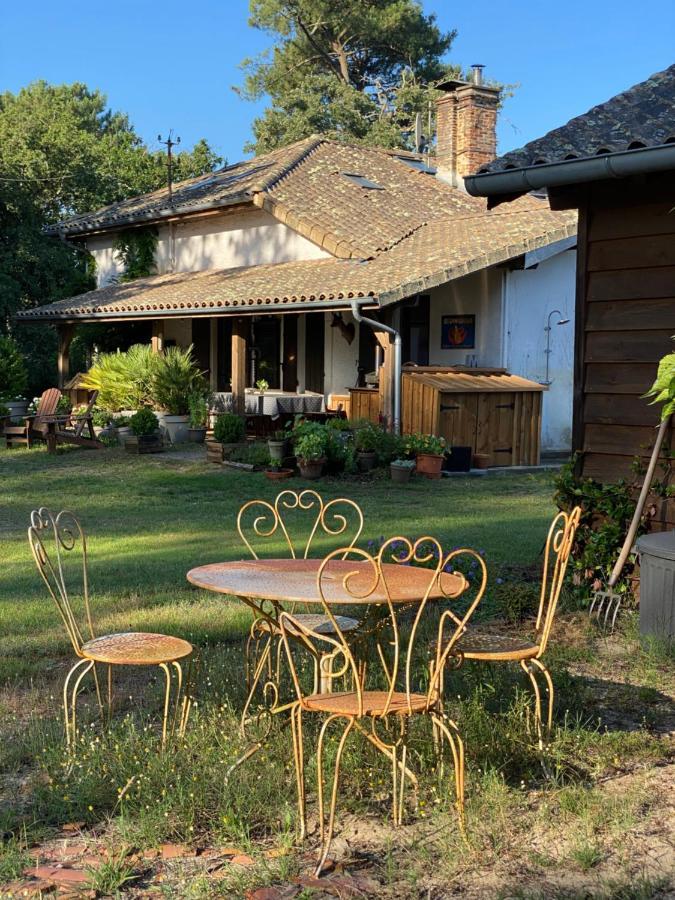 La Ferme Du Miouat Saint-Julien-en-Born Exterior foto